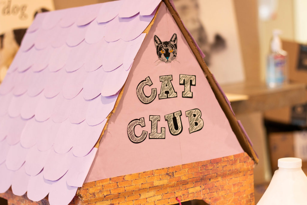 Cat-Club-1-1024x683