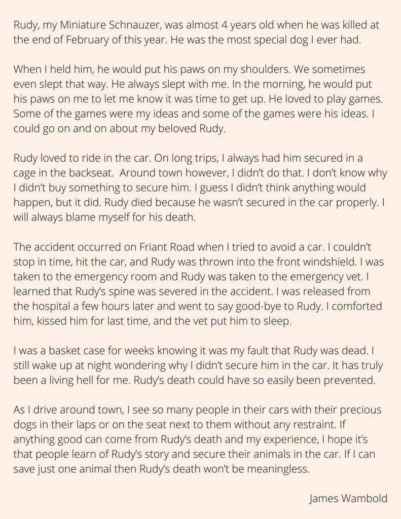 The letter James wrote to us about his accident and the death of his dog, Rudy. It reads "Rudy, my Miniature Schnauzer, was almost 4 years old when he was killed at the end of February of this year. He was the most special dog I ever had. When I held him, he would put his paws on my shoulders. We sometimes even slept that way. He always slept with me. In the morning, he would put his paws on me to let me know it was time to get up. He loved to play games. Some of the games were my ideas and some of the games were his ideas. I could go on and on about my beloved Rudy. Rudy loved to ride in the car. On long trips, I always had him secured in a cage in the backseat. Around town however, I didn’t do that. I don’t know why I didn’t buy something to secure him. I guess I didn’t think anything would happen, but it did. Rudy died because he wasn’t secured in the car properly. I will always blame myself for his death. The accident occurred on Friant Road when I tried to avoid a car. I couldn’t stop in time, hit the car, and Rudy was thrown into the front windshield. I was taken to the emergency room and Rudy was taken to the emergency vet. I learned that Rudy’s spine was severed in the accident. I was released from the hospital a few hours later and went to say good-bye to Rudy. I comforted him, kissed him for last time, and the vet put him to sleep. I was a basket case for weeks knowing it was my fault that Rudy was dead. I still wake up at night wondering why I didn’t secure him in the car. It has truly been a living hell for me. Rudy’s death could have so easily been prevented. As I drive around town, I see so many people in their cars with their precious dogs in their laps or on the seat next to them without any restraint. If anything good can come from Rudy’s death and my experience, I hope it’s that people learn of Rudy’s story and secure their animals in the car. If I can save just one animal then Rudy’s death won’t be meaningless. James Wambold"