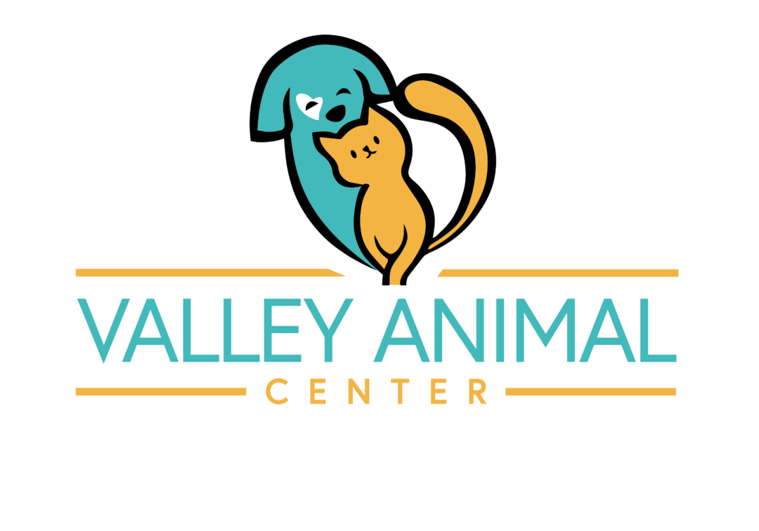 Events And Campaigns Valley Animal Center