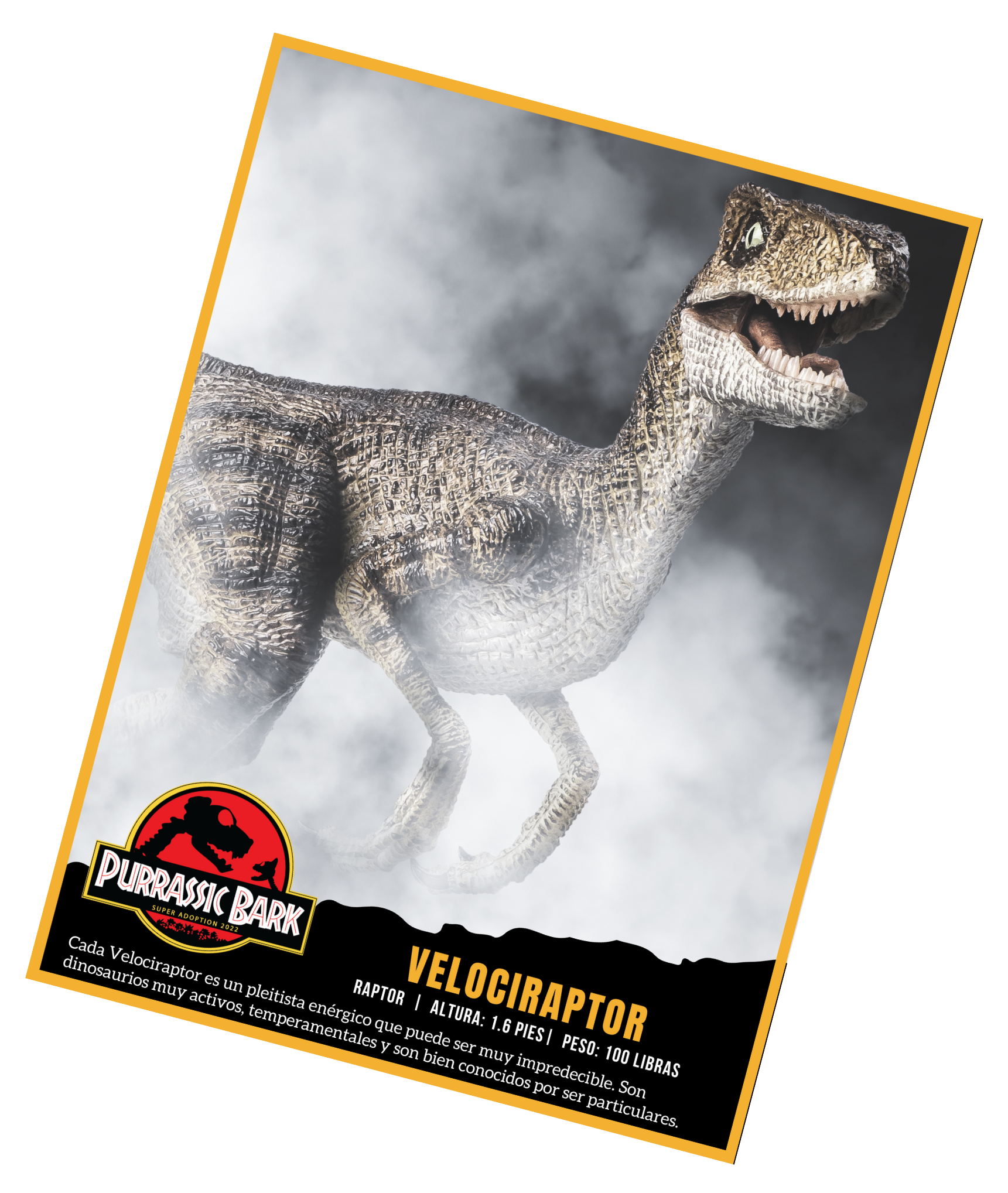 Cada Velociraptor es un pleitista energico que puede ser muy impredecible. Son dinosaurios muy activos, temperamentales y son bien conocidos por ser particulares.