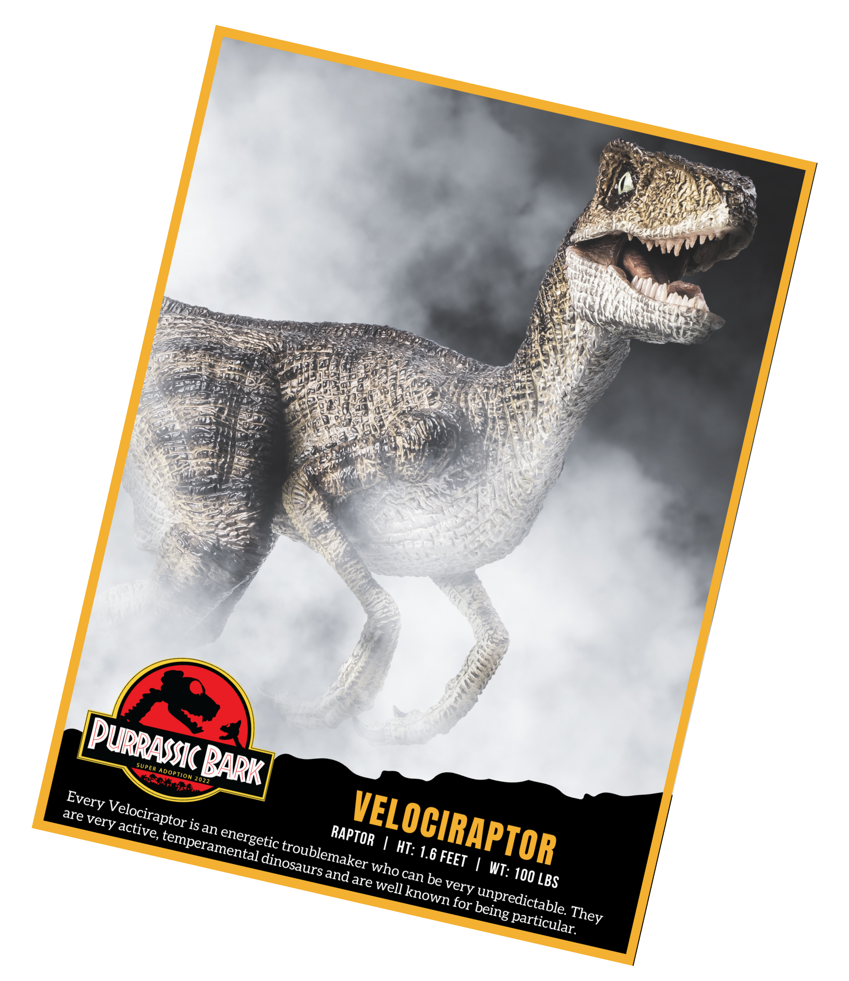 Every Velociraptor is an energetic troublemaker who can be very unpredictable. They are very active, temperamental dinosaurs and are well known for being particular.
