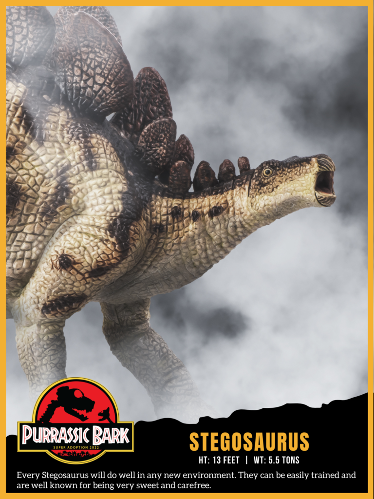 Stegosaurus trading card
