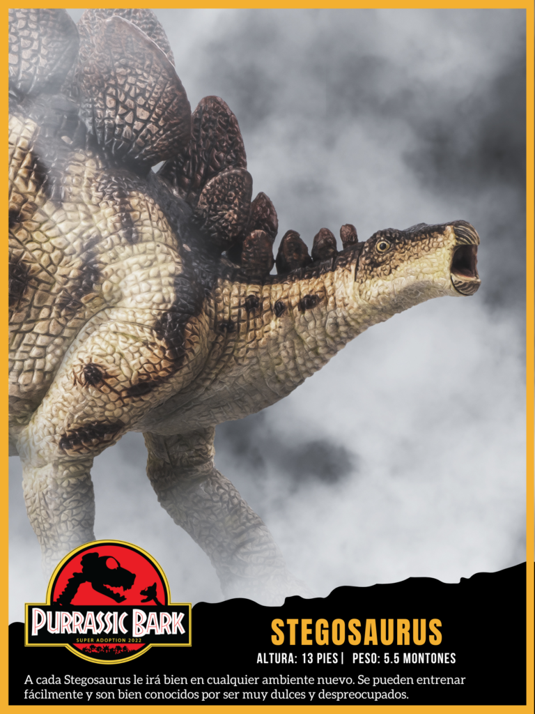 A cada Stegosaurus le ira bien en cualquier ambiente nuevo. Se pueden entrenar facilmente y son bien conocidos por ser muy dulces y despreocupados.