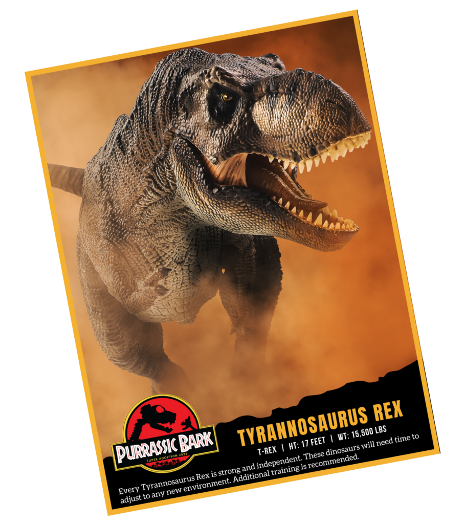 Every Tyrannosaurus Rex is strong and independent. These dinsosaurs will need timt to adjust to any new environment. Additional training is recommended.
