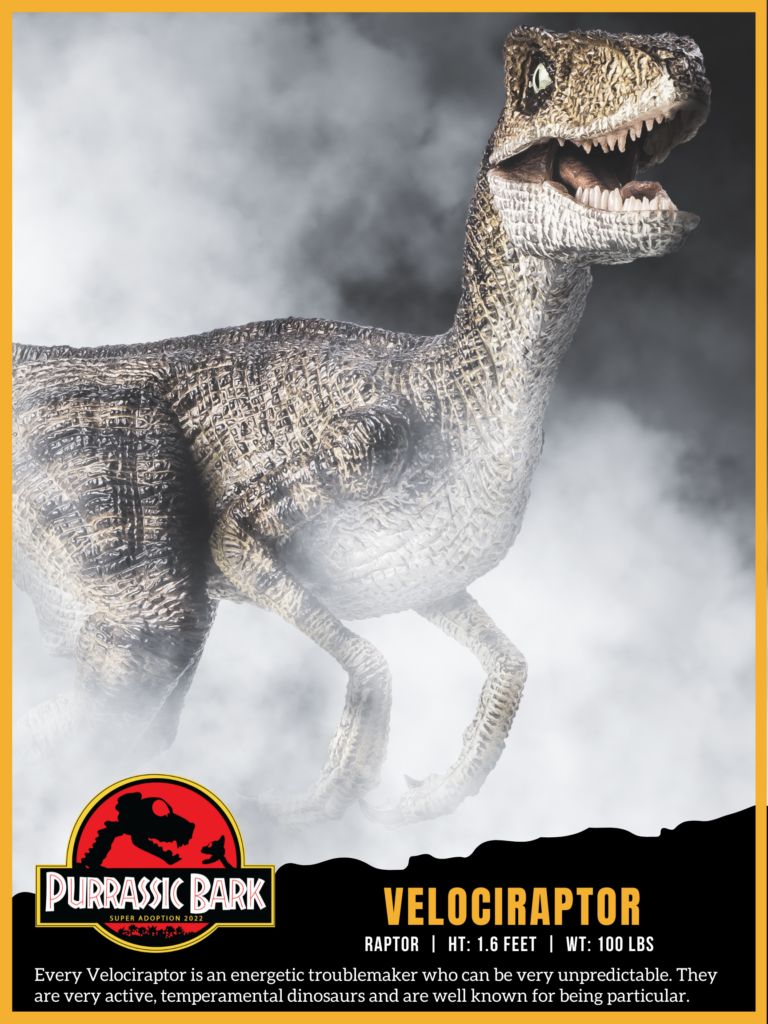 Velociraptor trading card