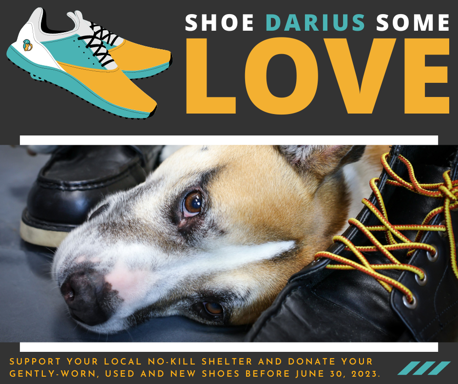 Darius Shoes Ad - No Animation