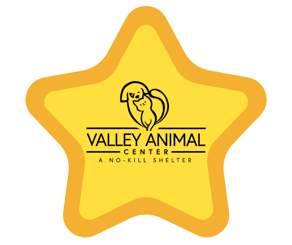 Super Adoption VAC Logo - Transparent