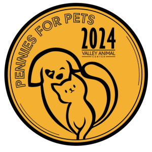 P4P Coin Logo