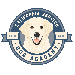 cs-dog-academy