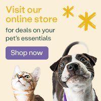 Practice Toolkit square banner - dog and cat